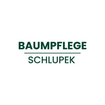 Baumpflege Schlupek - Ulm - Rasenpflege - Kompletter Rundum-Service (regelmäßig)