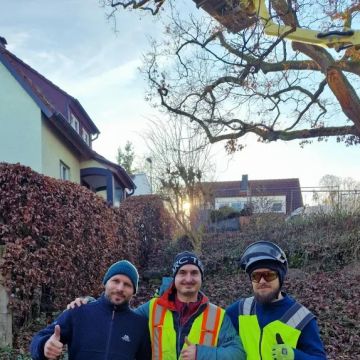 Baumpflege Schlupek - Ulm - Entfernung von Gebüsch- und Baumaufwuchs
