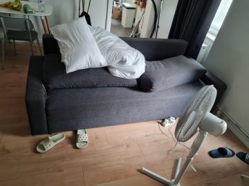 Bettwanzen bekämpfen