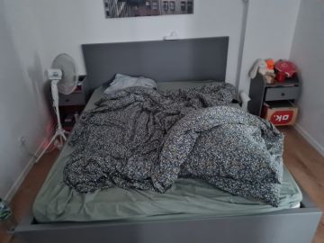 Schädlingsexperten