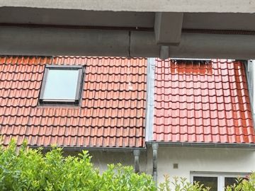 Dachrinnen reinigen und warten