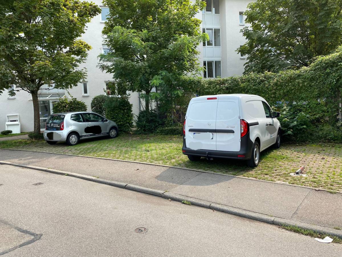 SN-Solutions - Esslingen - Tree Trimming and Maintenance