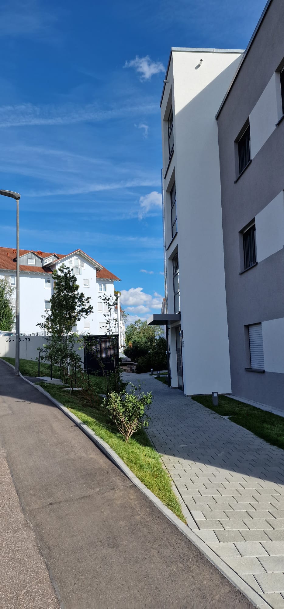 SN-Solutions - Esslingen - Seeding