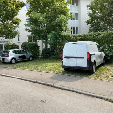 SN-Solutions - Esslingen - Tree Trimming and Maintenance