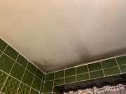 Cleaning - Domestic Services