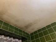 Mold Inspection and Removal - Cleaning