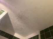 Cleaning - Domestic Services
