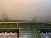 Mold Removal Expert - Domestic Services