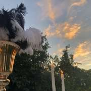 Bodadeko - Kassel - Event- und Partydekoration