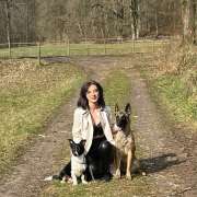 Pajak - Gießen - Hundetraining - Privatunterricht