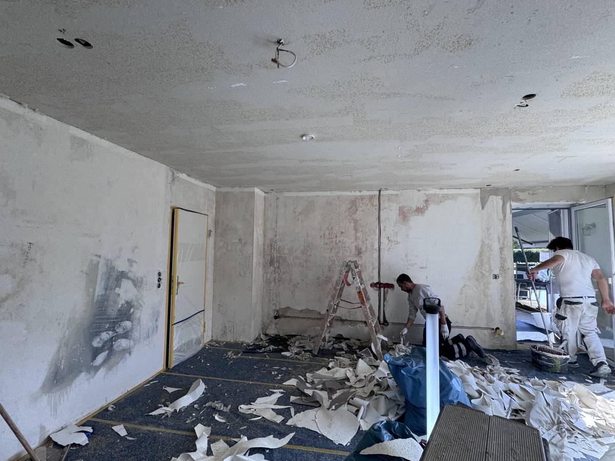 Louah s Paint - Main-Taunus-Kreis - Zimmerrenovierung