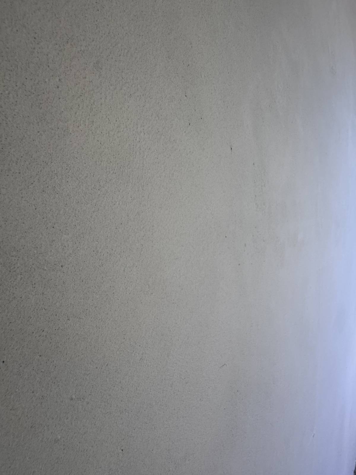 Louah s Paint - Main-Taunus-Kreis - Entfernen einer Innenwand