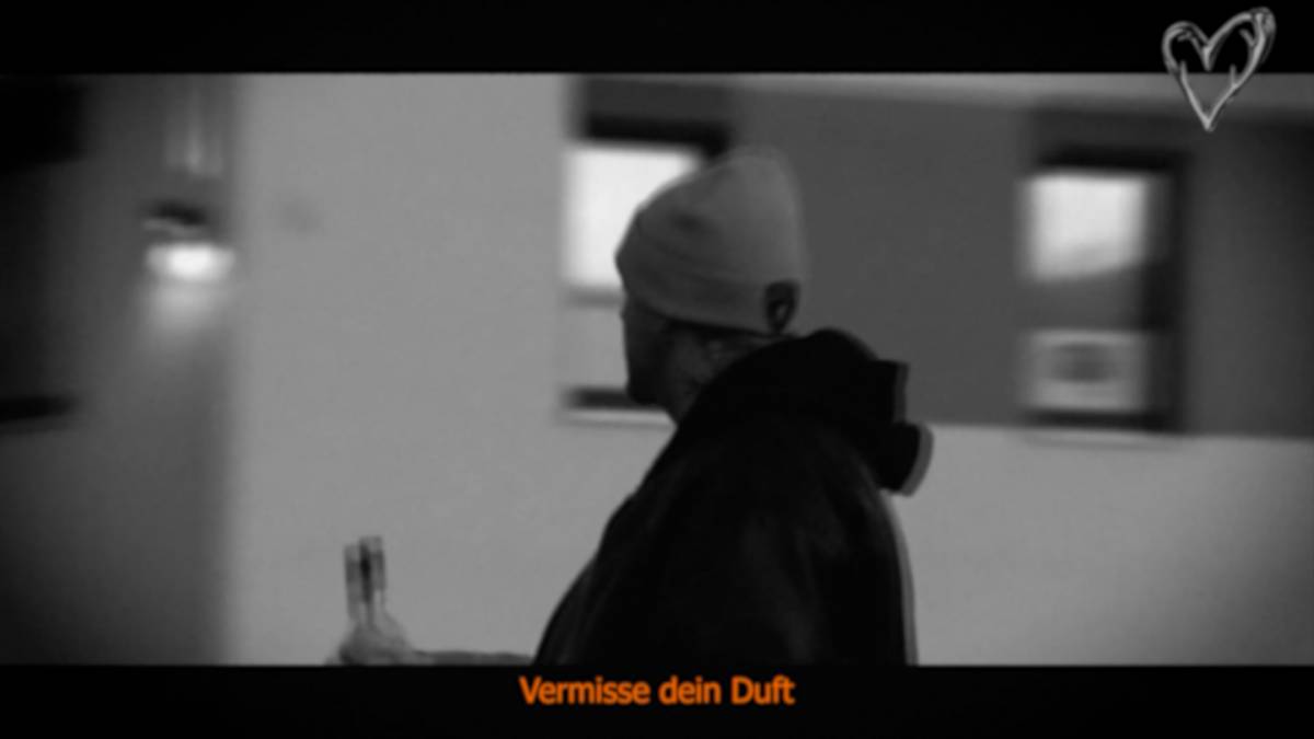 Vogelsang - Nürnberg - Videoübertragung