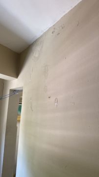 Pintura - Pintura