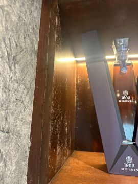 Experto en eliminación de moho