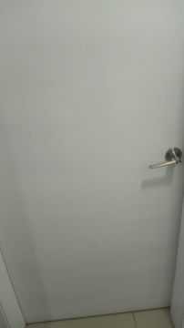 Pintor de puertas