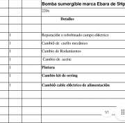 Fontanero para mantenimiento o reparación de bombas de desagüe