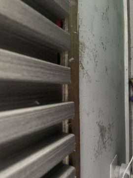 Experto en eliminación de moho