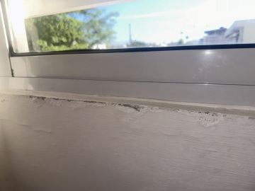 Mold Inspection and Removal - Cleaning