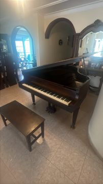 Servicio de mudanzas de pianos