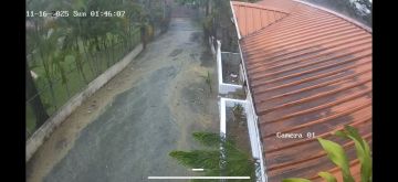 Lawncare - Home Improvements