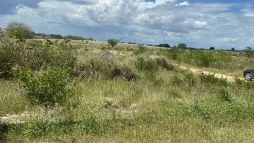 Land clearance specialist