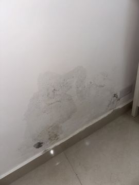 Cleaning - Domestic Services