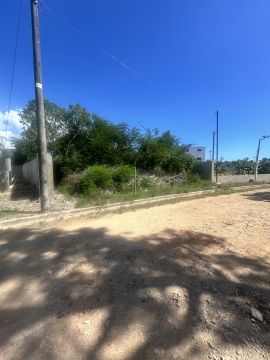 Empresa de limpieza de terrenos