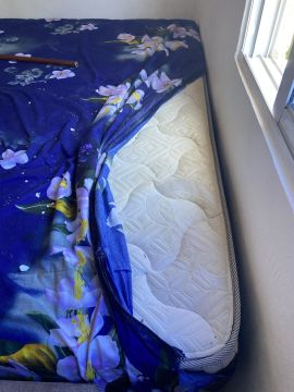 Upholstery and Furniture Cleaning