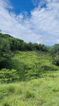 Empresa de limpieza de terrenos