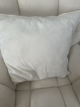 Mold Inspection and Removal