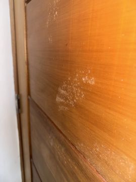 Mold Inspection and Removal - Cleaning