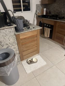 Mold Removal Expert