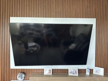 TV Repair Specialist