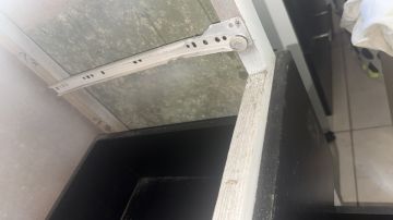 Mold Removal Expert