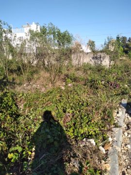 Empresa de limpieza de terrenos