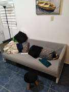 Furniture Mover - Home Improvements