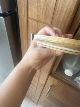 Mold Inspection and Removal