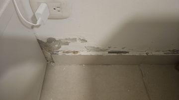 Waterproofing Specialist