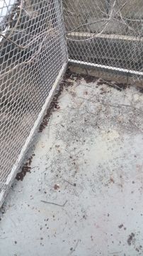 Reparación de escaleras