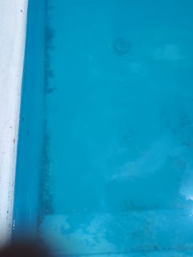 Pool Repair