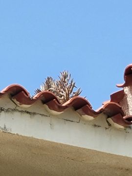 Tejados
