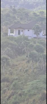 Empresa de limpieza de terrenos