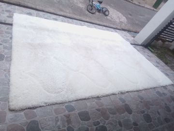 Rug Cleaner