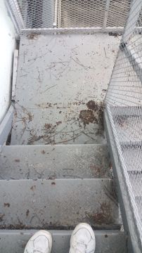 Paredes, marcos y escaleras
