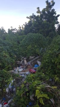 Land Clearance