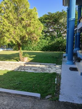  Jardinero para cortar y podar el césped