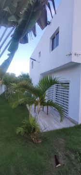 Painting - Home Improvements