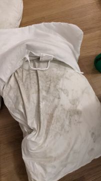 Mold Inspection and Removal