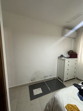 Mold Inspection and Removal